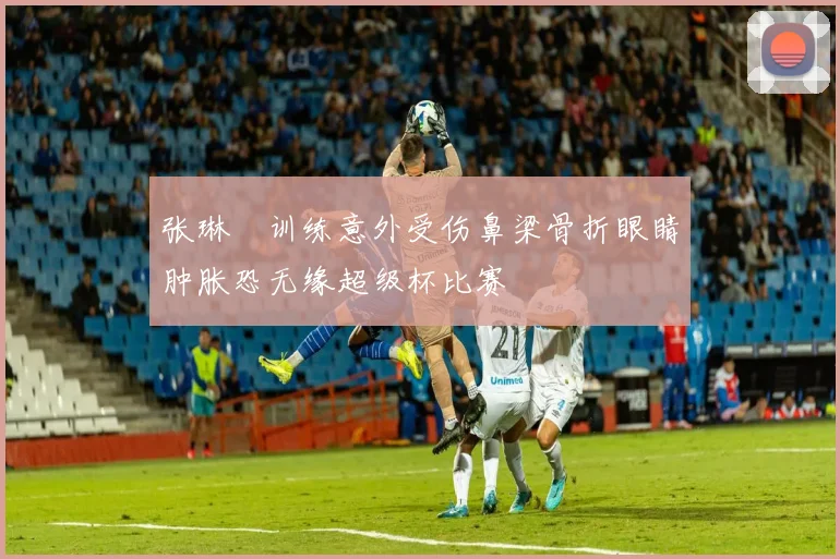 张琳芃训练意外受伤鼻梁骨折眼睛肿胀恐无缘超级杯比赛