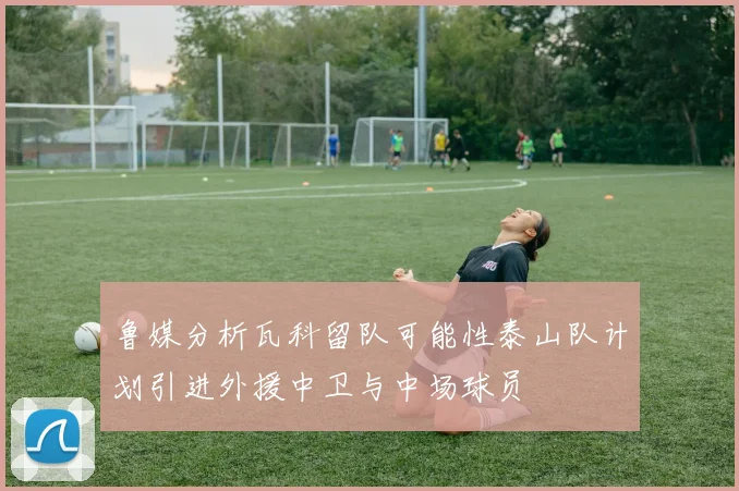鲁媒分析瓦科留队可能性泰山队计划引进外援中卫与中场球员