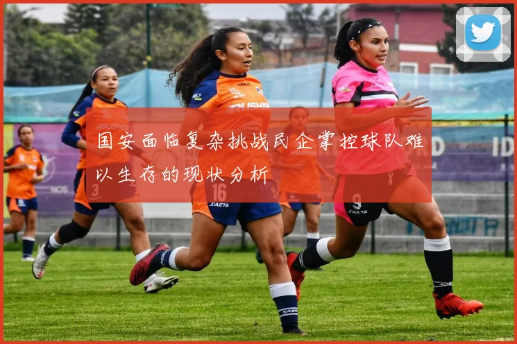 国安面临复杂挑战民企掌控球队难以生存的现状分析