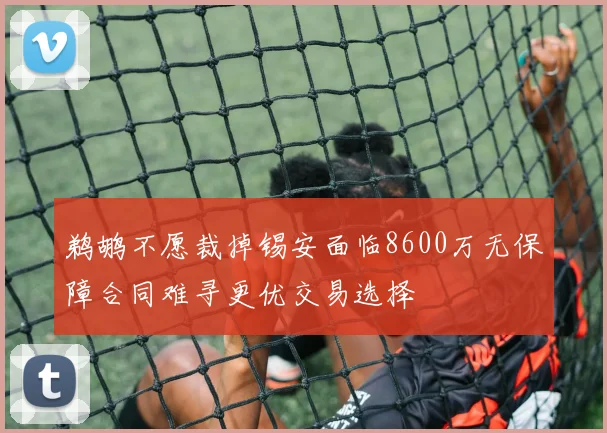 鹈鹕不愿裁掉锡安面临8600万无保障合同难寻更优交易选择