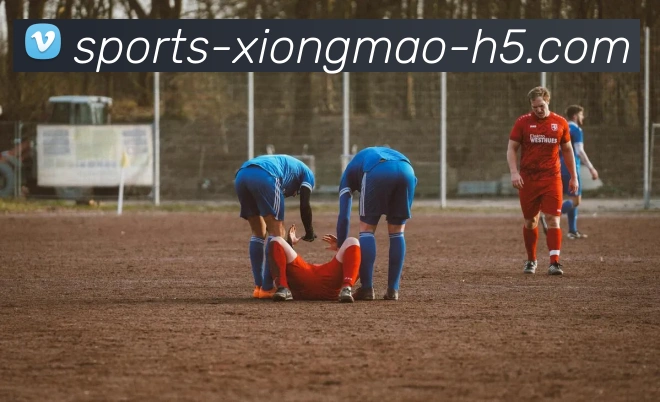 熊猫体育平台生态图