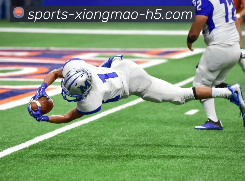 熊猫体育APP 封面图